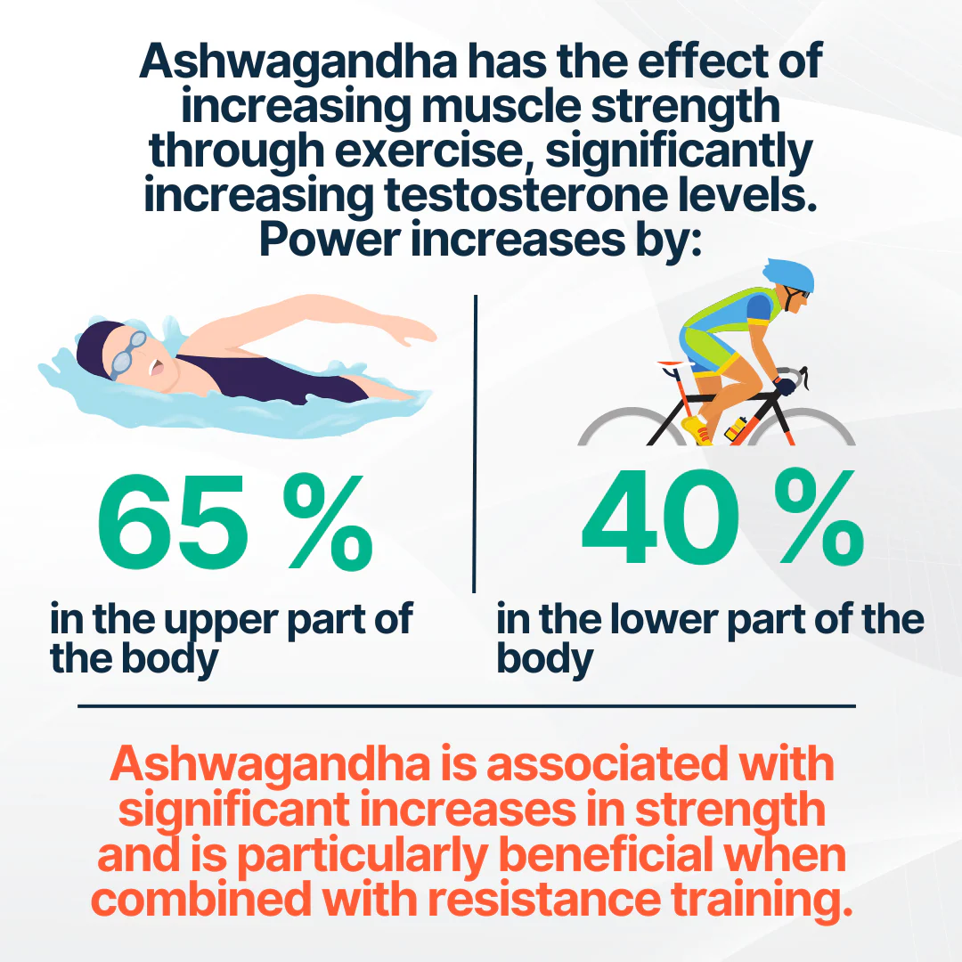 Ashwagandha - Image 5