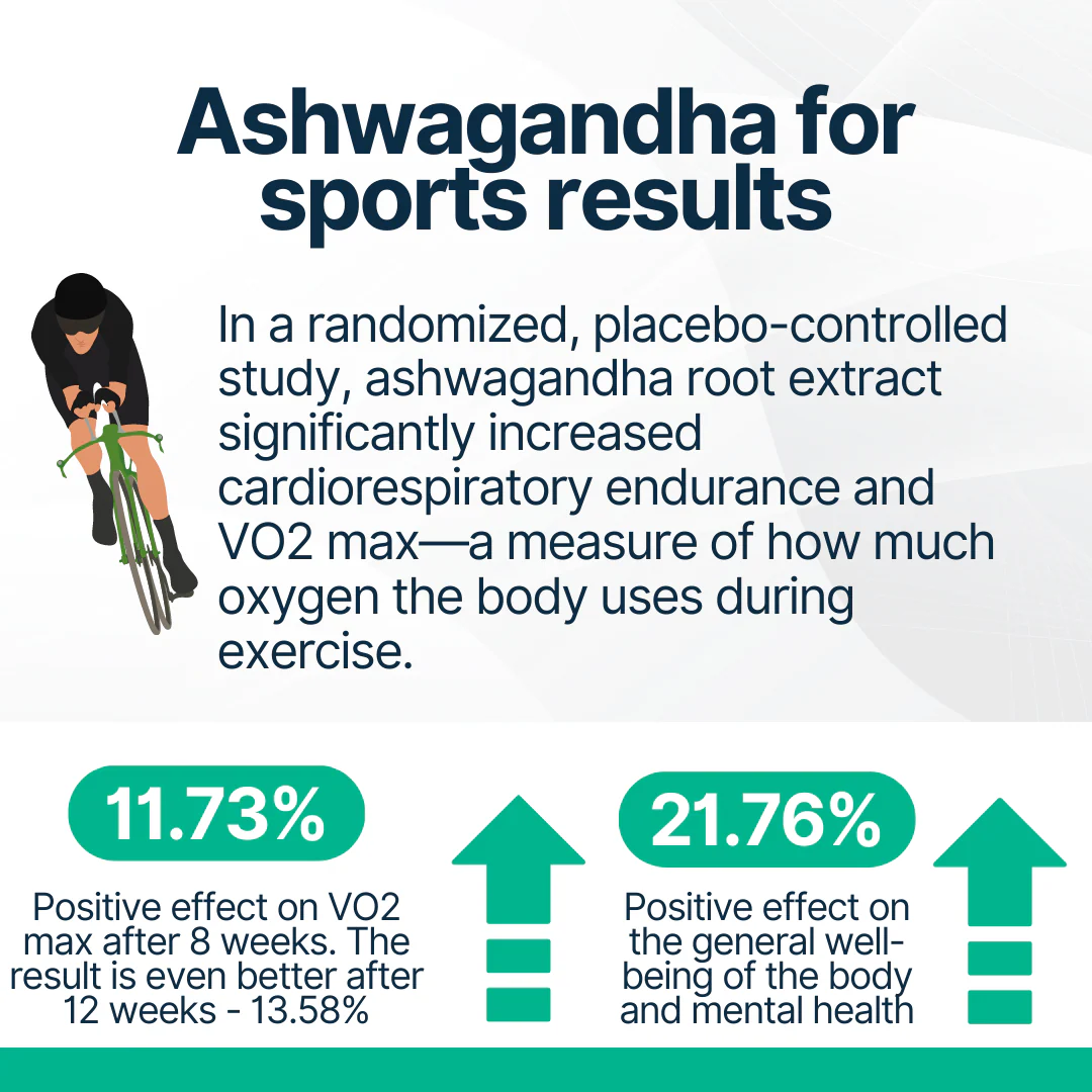 Ashwagandha - Image 6